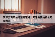 博兴天津公司网站搭建哪家好（天津做网站的公司有哪家）