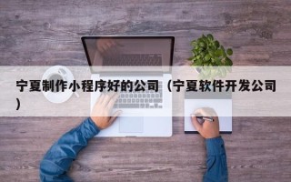 博兴宁夏制作小程序好的公司（宁夏软件开发公司）